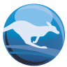 Kanguru Solutions logo